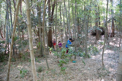 DSC_6555.jpg