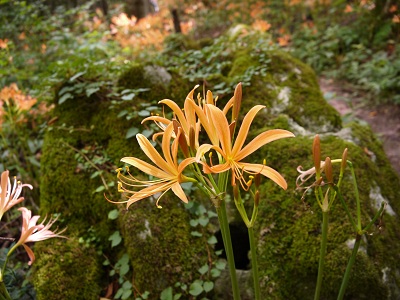 1P1000412.jpg