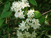 DSC04345_R.jpg