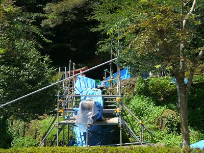 P1000260_R.jpg