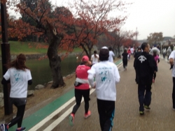 写真 2014-11-09 9 35 15