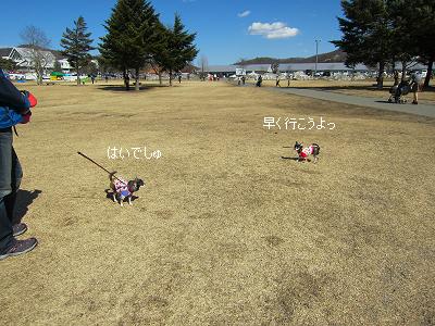 IMG_6994⑦