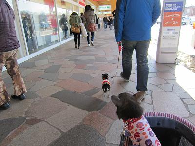 IMG_6973②