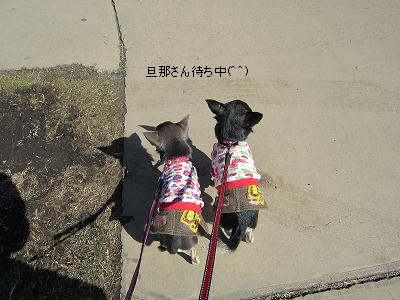 IMG_7006⑧
