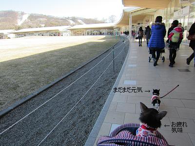 IMG_7010⑨