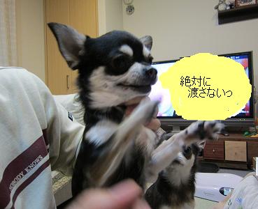 IMG_7141⑥