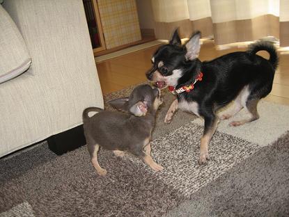IMG_3992⑬