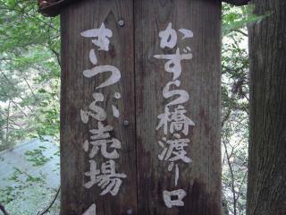 R0010374.jpg