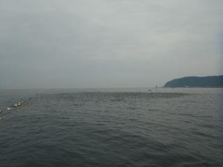 R0010494.jpg