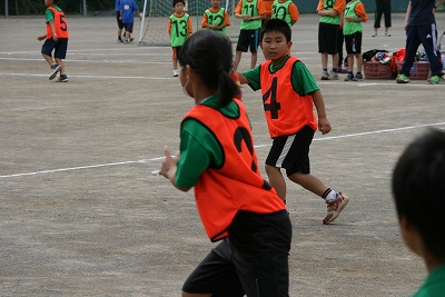 IMG_8375.jpg