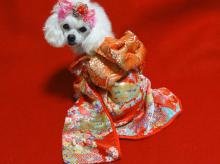 moblog_09d11004.jpg
