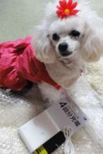 moblog_15d12763.jpg
