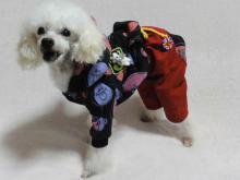 moblog_1cd68b4e.jpg