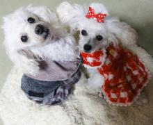 moblog_36ca84b3.jpg
