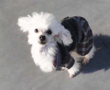 moblog_380431c7.jpg