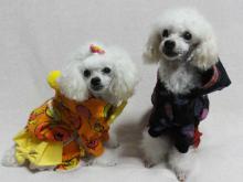 moblog_4750e488.jpg