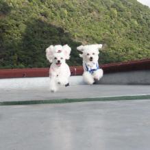 moblog_588f6ddd.jpg