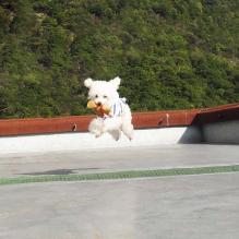 moblog_799da6d9.jpg