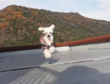 moblog_916d0f11.jpg
