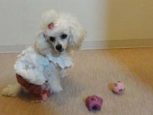 moblog_9c9a1c20.jpg