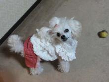 moblog_aa824e44.jpg