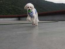 moblog_ab9d3945.jpg