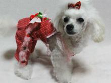 moblog_d56d7aa6.jpg