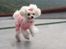 moblog_e0564c23.jpg