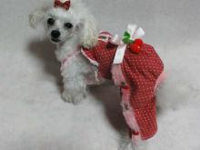 moblog_fa12859e.jpg