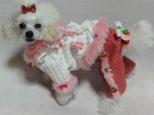 moblog_fa918c9e.jpg