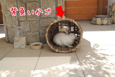 DSCN1495.jpg