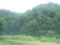 2012081100.jpg