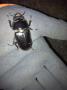 2012081101.jpg