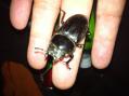 2012081102.jpg