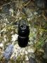 2012081104.jpg