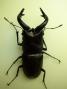 2012082501.jpg