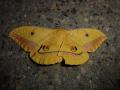 DSC00490.jpg