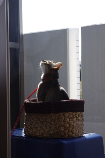 120515-04.jpg