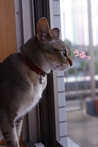 120519-004.jpg