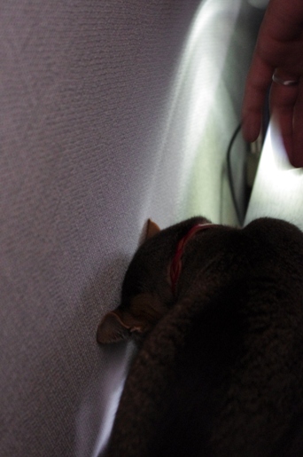 120528-02.jpg