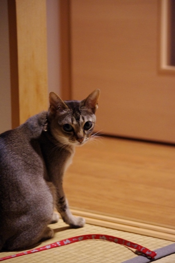120605-005.jpg
