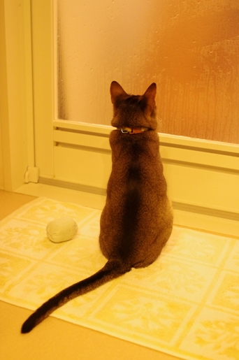 120620-01.jpg