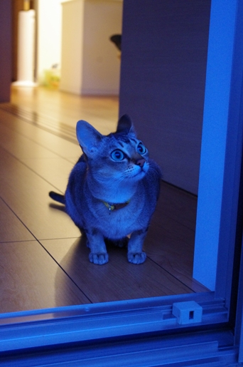 120621-5.jpg