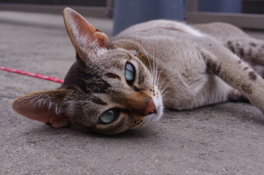 120814-03.jpg