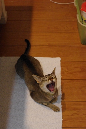 120828-02.jpg