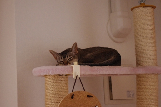 120910-2.jpg
