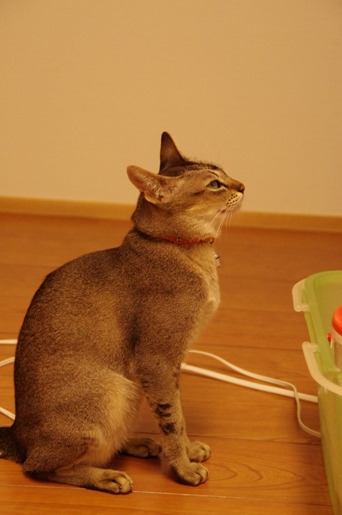 120926-04.jpg