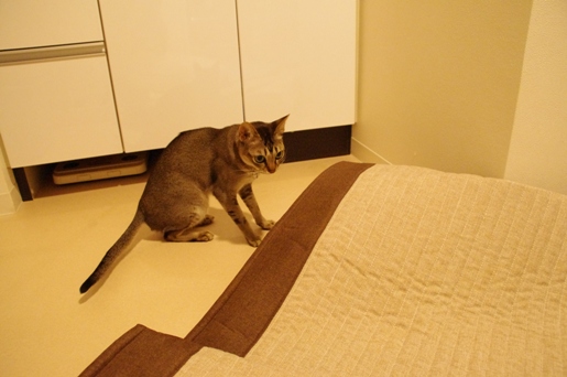 121023-01.jpg