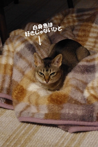 121207-002.jpg
