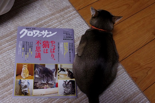 130116-03.jpg